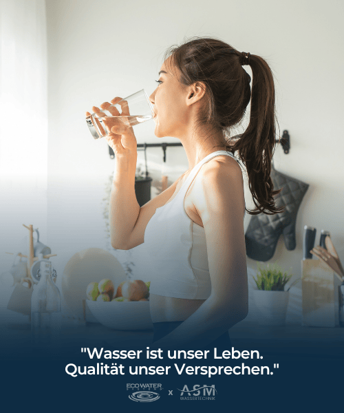 Wasserfilter, Enthärtungsanlagen und Osmoseanlagen von EcoWater direkt bei ASM Wassertechnik beziehen